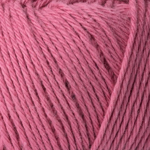 Yarn and Colors Favorite